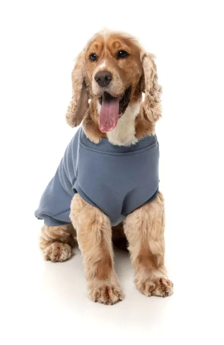 FuzzYard Allday 25 Sweater BLUE