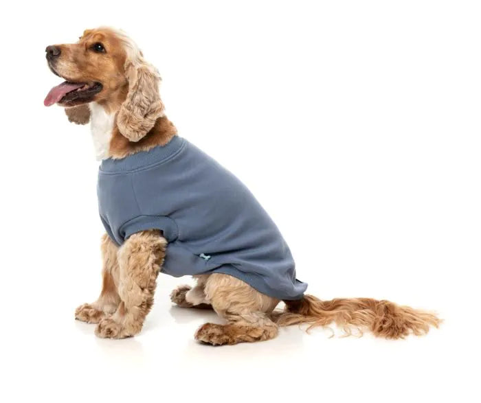 FuzzYard Allday 25 Sweater BLUE