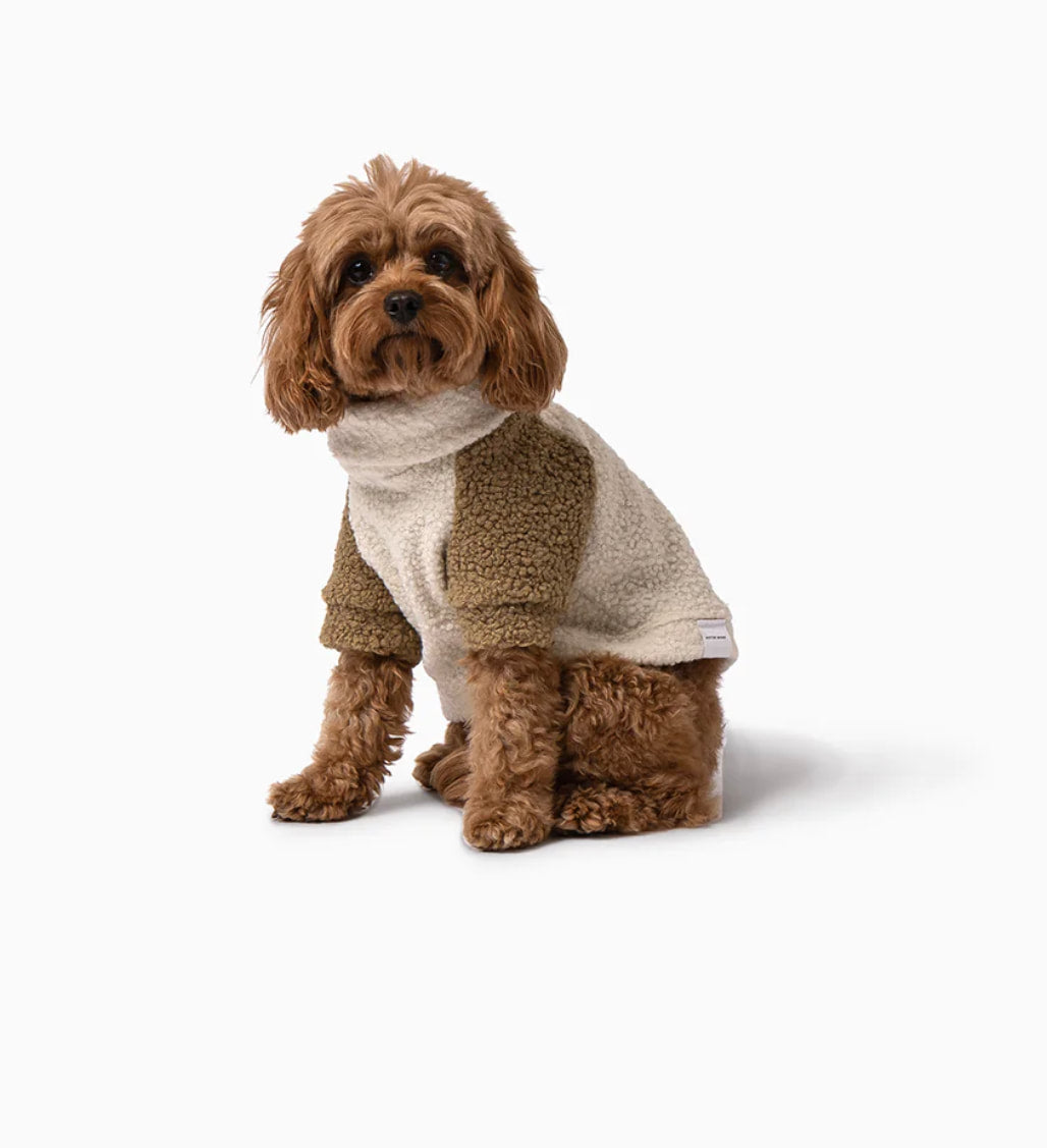 Mister Woof Teddy Jumper Tate