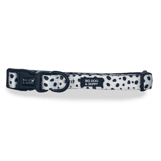 Big lots dog collar best sale