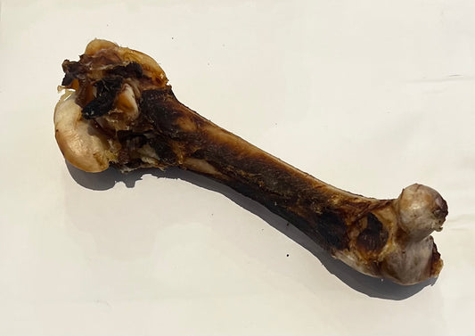 Emu Femur