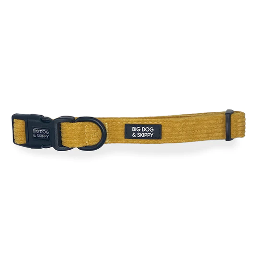 Big Dog & Skippy Corduroy Collar Mango