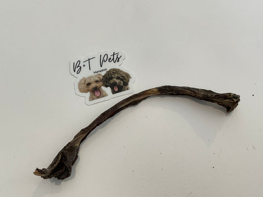 Roo Rib Stick Chew