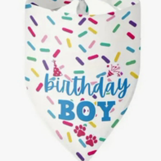 Birthday Boy Sprinkle Bandana