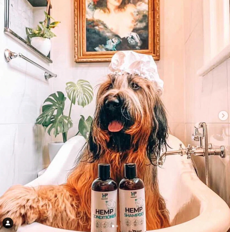 HempPet Shampoo for Dogs