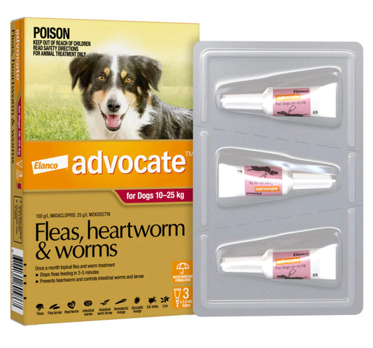 Advocate for Dogs - 10-25kg (3)