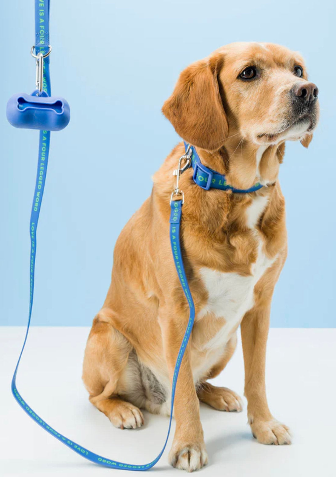 Gummi Pets Slick Lead Blue