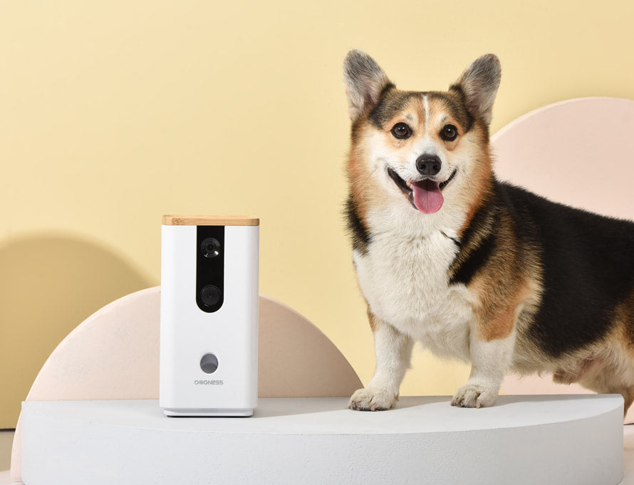 Dogness Smart Camera Treater - White