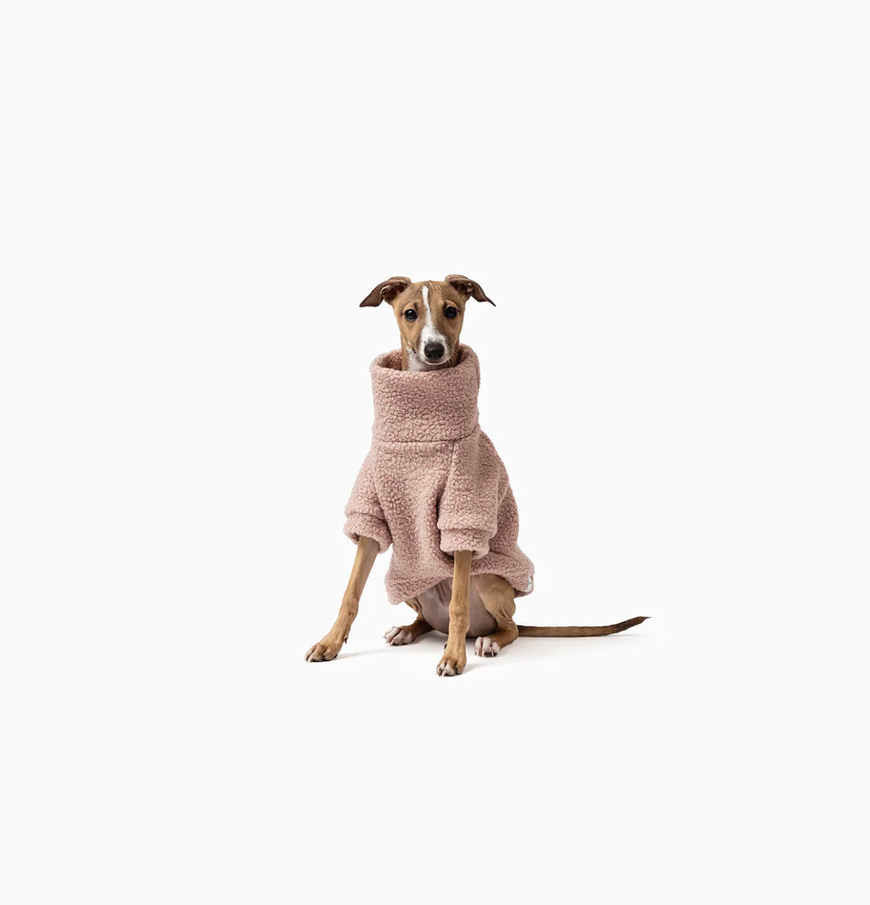 Mister Woof Teddy Jumper Rosie