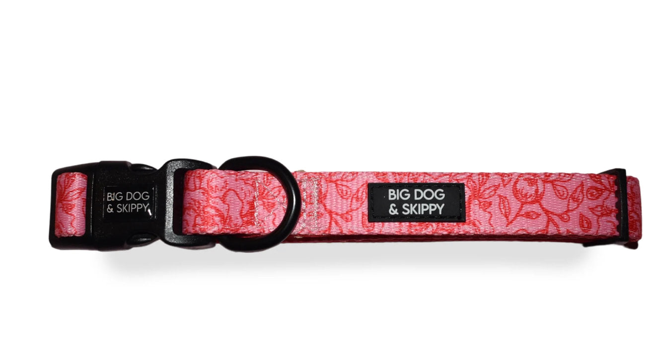 Big Dog & Skippy Neoprene Collar Rose All Day