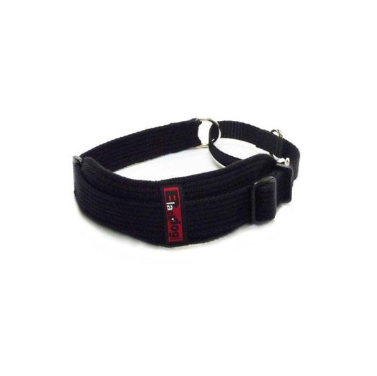 BlackDog Sight Hound Collar