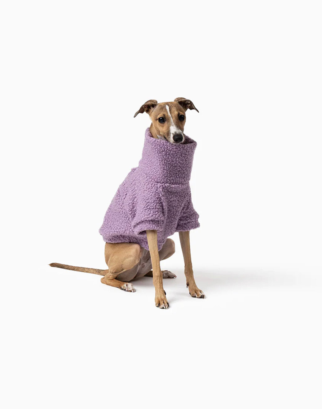 Mister Woof Teddy Jumper Lilac