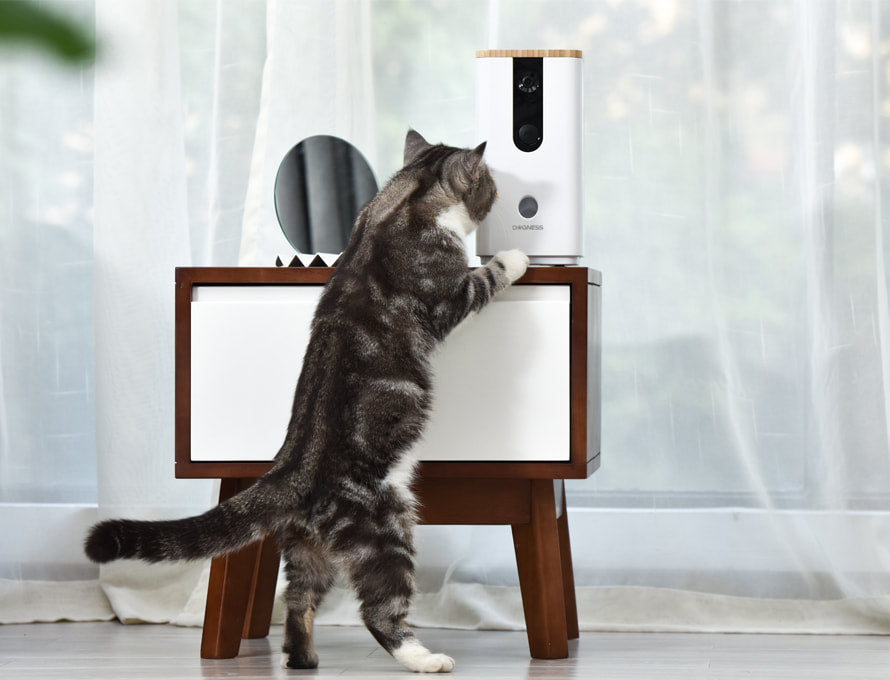 Dogness Smart Camera Treater - White
