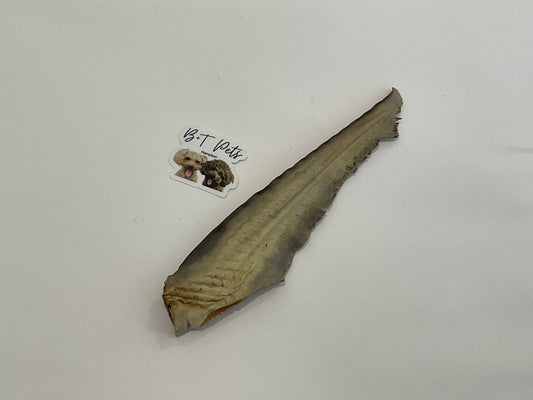 B+T Pets Shark Tail