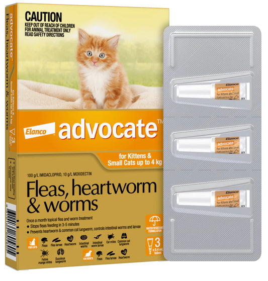 Advocate for Kittens + Cats - Up to 4kg