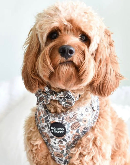 Big Dog & Skippy Neoprene Harness Flower Power