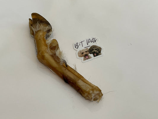 B+T Pets Goat Trotter