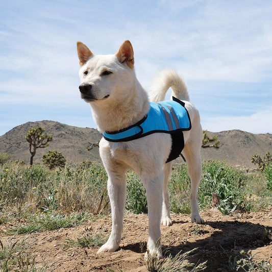 Zippy Paws Cooling Vest Blue