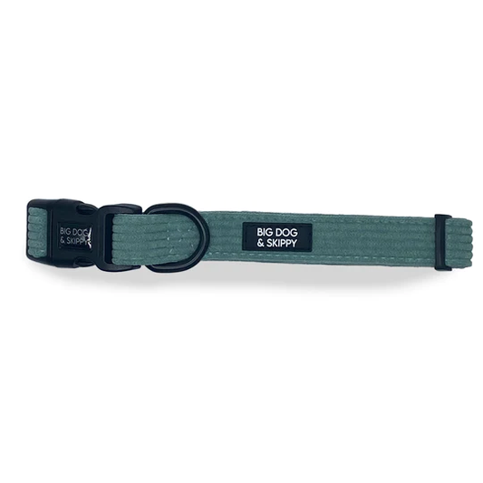 Big Dog & Skippy Corduroy Collar Teal