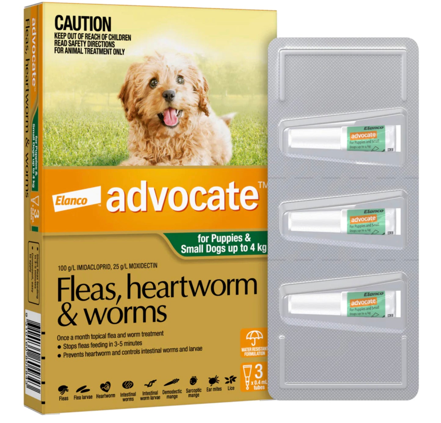 Advocate for Dogs - under 4kg (3)