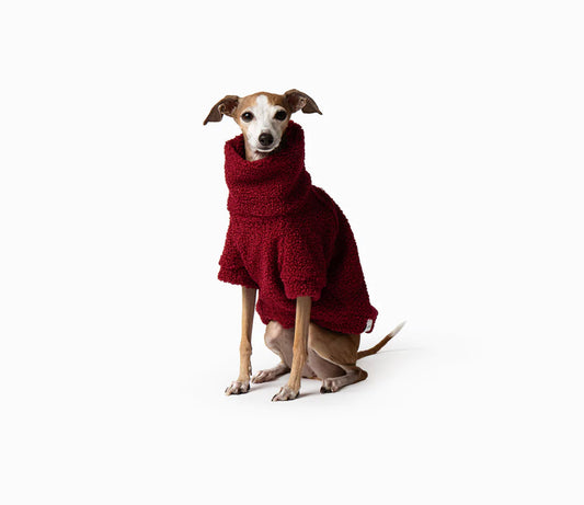 Mister Woof Teddy Jumper Berry
