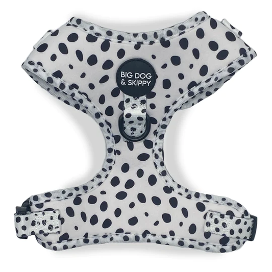 Big Dog & Skippy Neoprene Harness Lots Of Spots