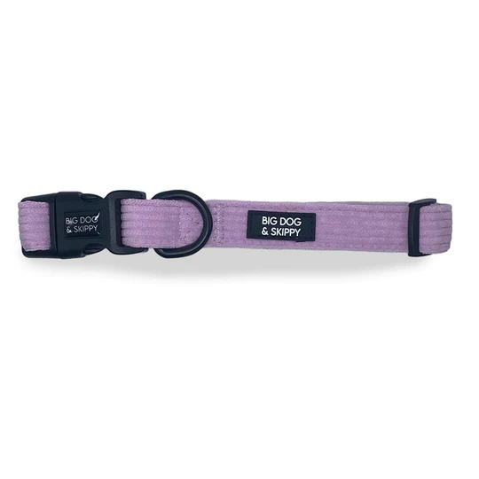 Big Dog & Skippy Corduroy Collar Lilac