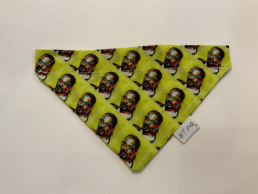 Bandana Snoop