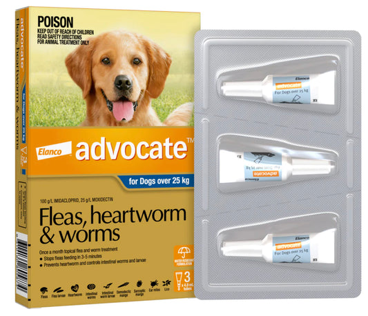 Advocate for Dog - 25kg+