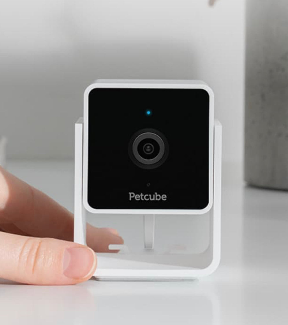 Petcube Cam