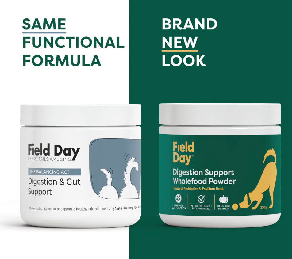 Field Day Digestion Support Wholefood Powder 220gr