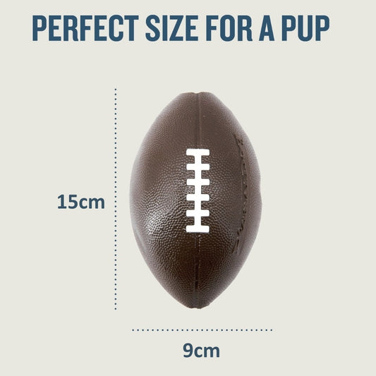 Planet Dog Sport