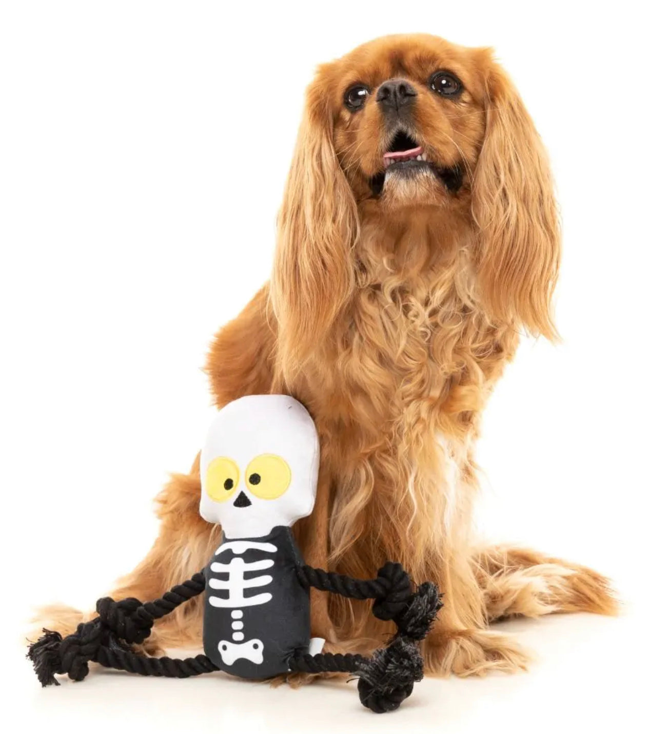 Fuzzyard Halloween Indiana Bones Rope