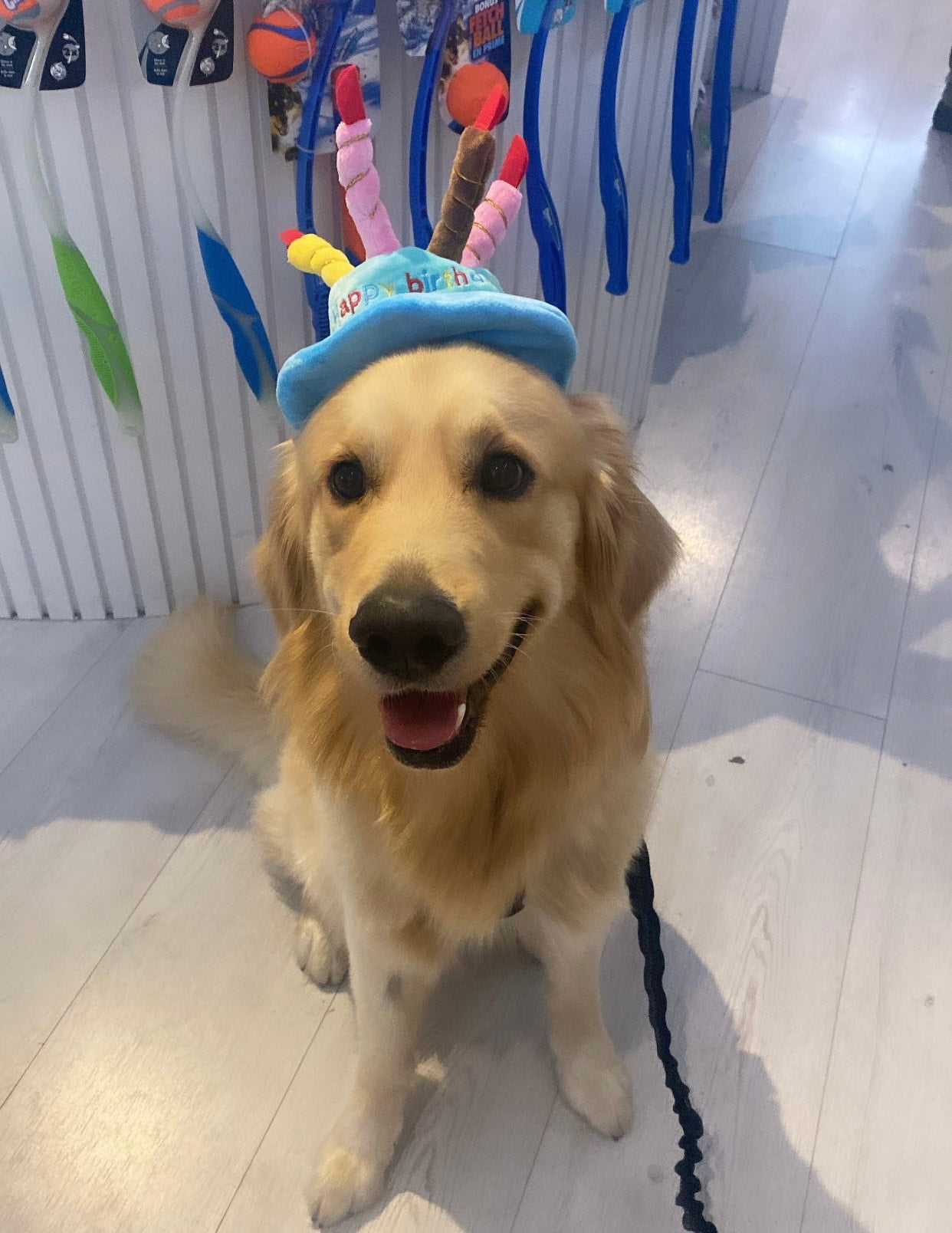 Birthday Cake Hat