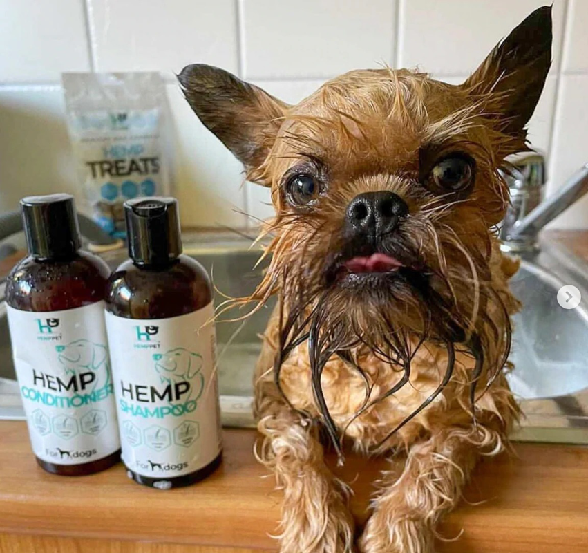 HempPet Shampoo for Dogs