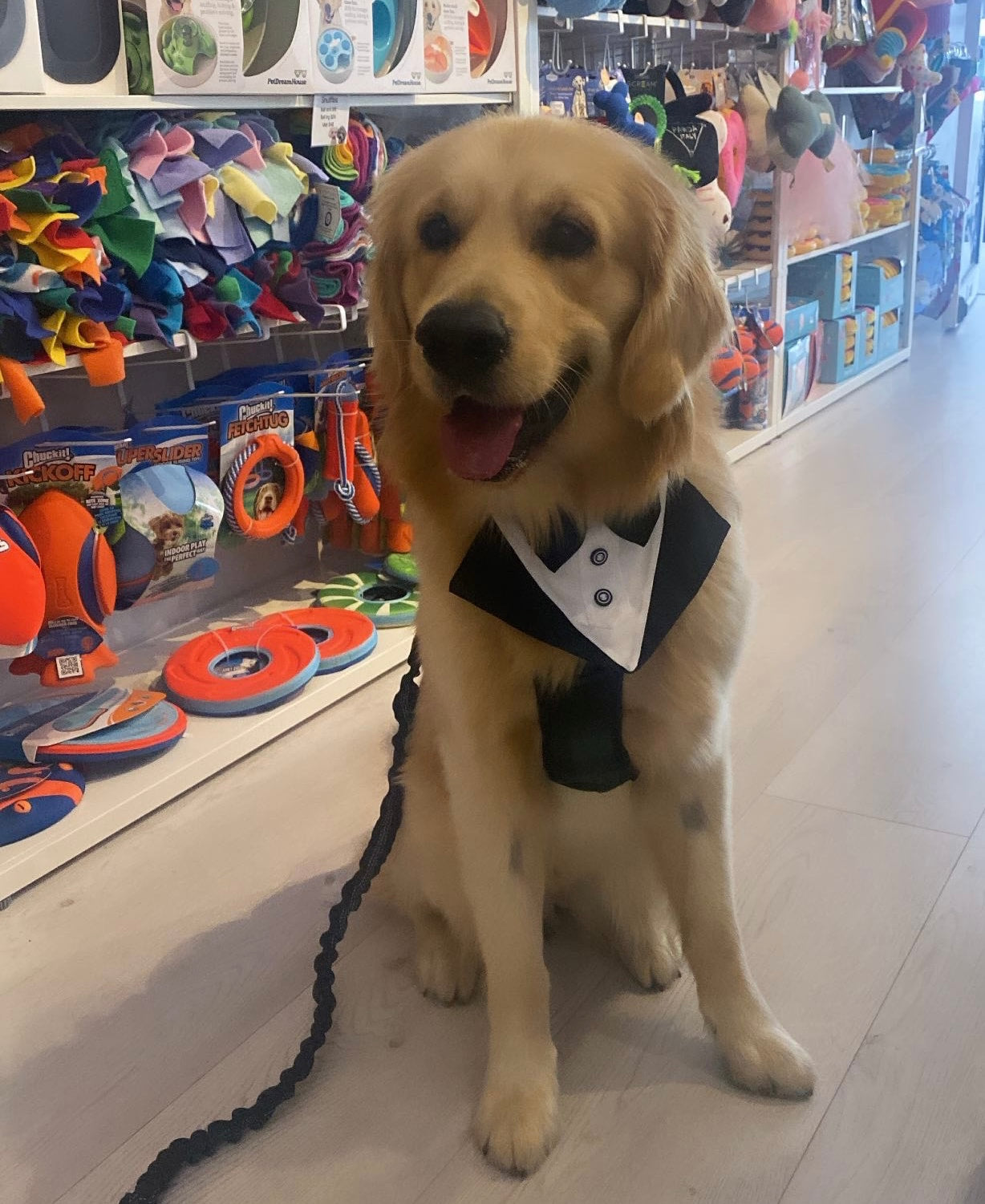 Black Tie Tux Bib Collar