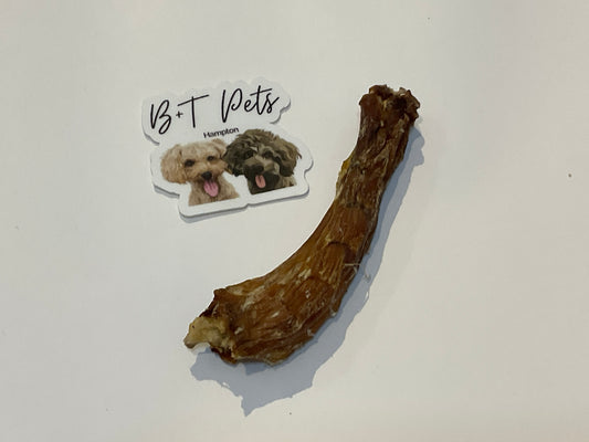 Chicken Neck Chew