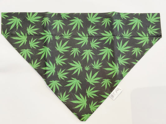 Bandana Canna