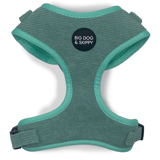 Big Dog & Skippy Corduroy Harness Teal