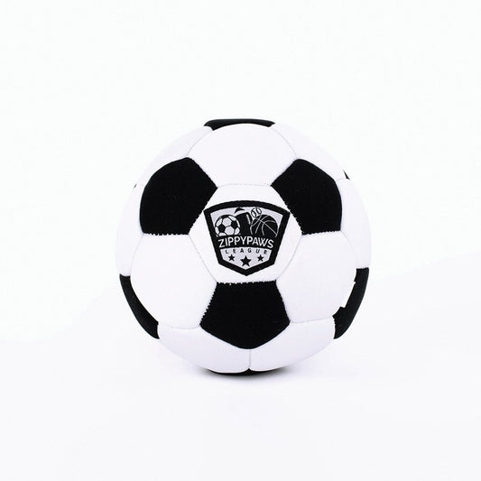 Zippy Paws SportsBallz - Soccer