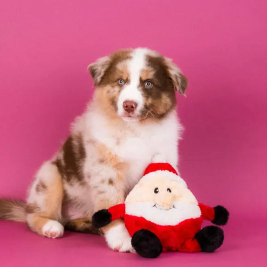 Zippy Paws Holiday Brainey Santa