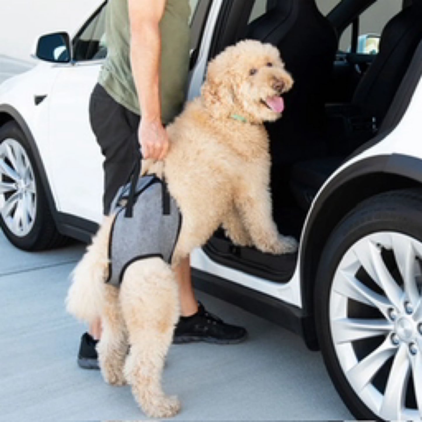 Zippypaws Adventure Support Lift Harness