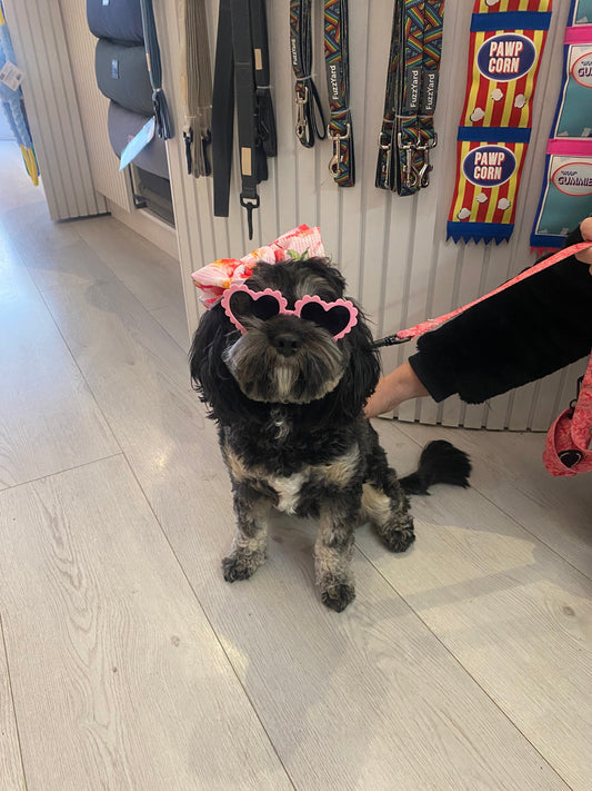 Pet Sunglasses With Bow Headband