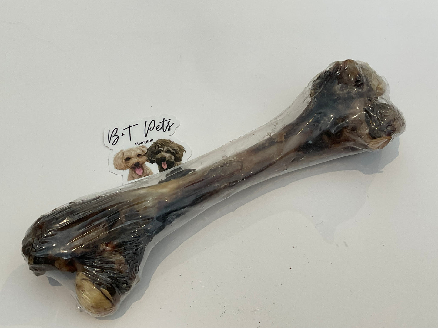 Roo Femur Bone