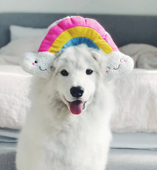 Zippy Paws Squeakie Pattiez Rainbow