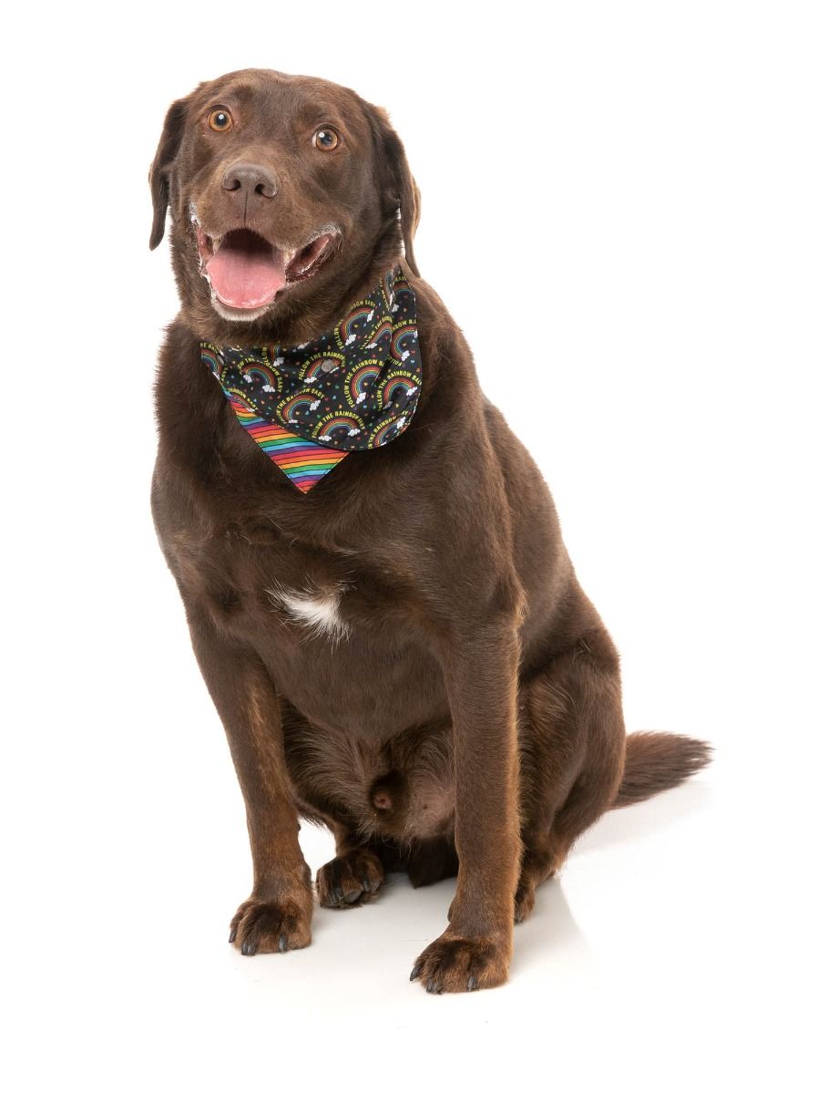 Fuzzyard Bandana - Follow The Rainbow Baby