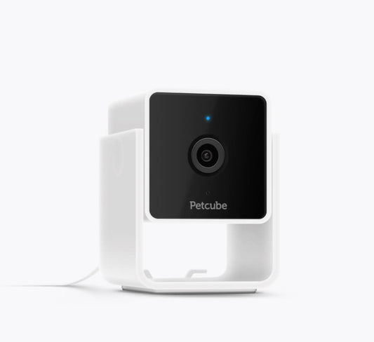 Petcube Cam