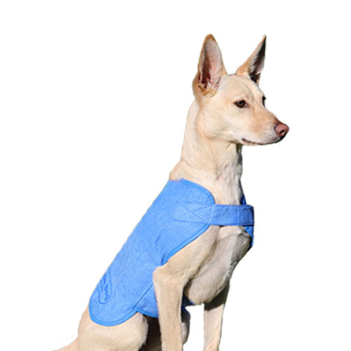 Aussie Dog Wet Vest Small
