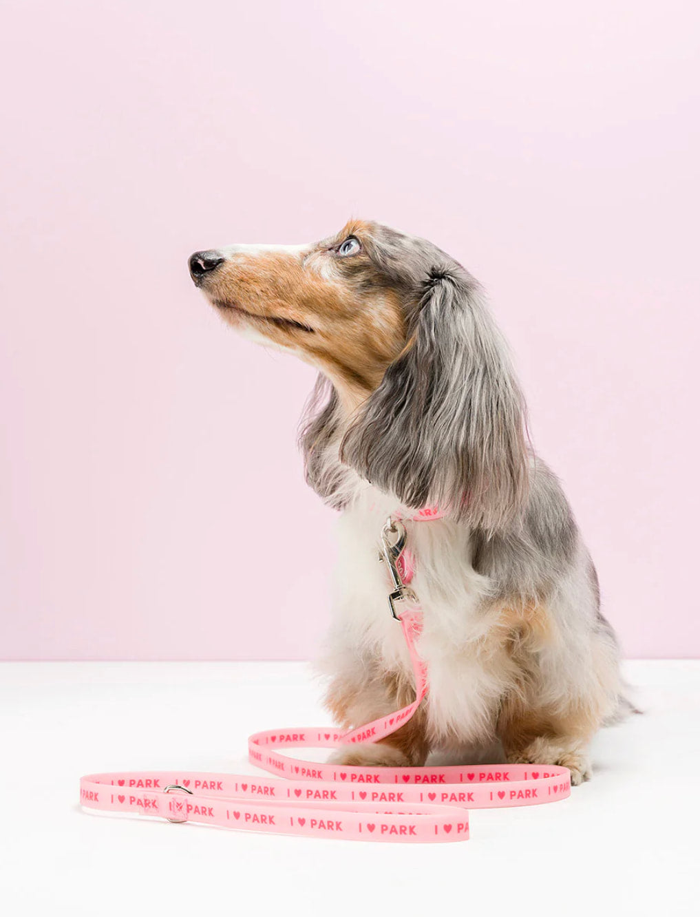 Gummi Pets Slick Lead Pink