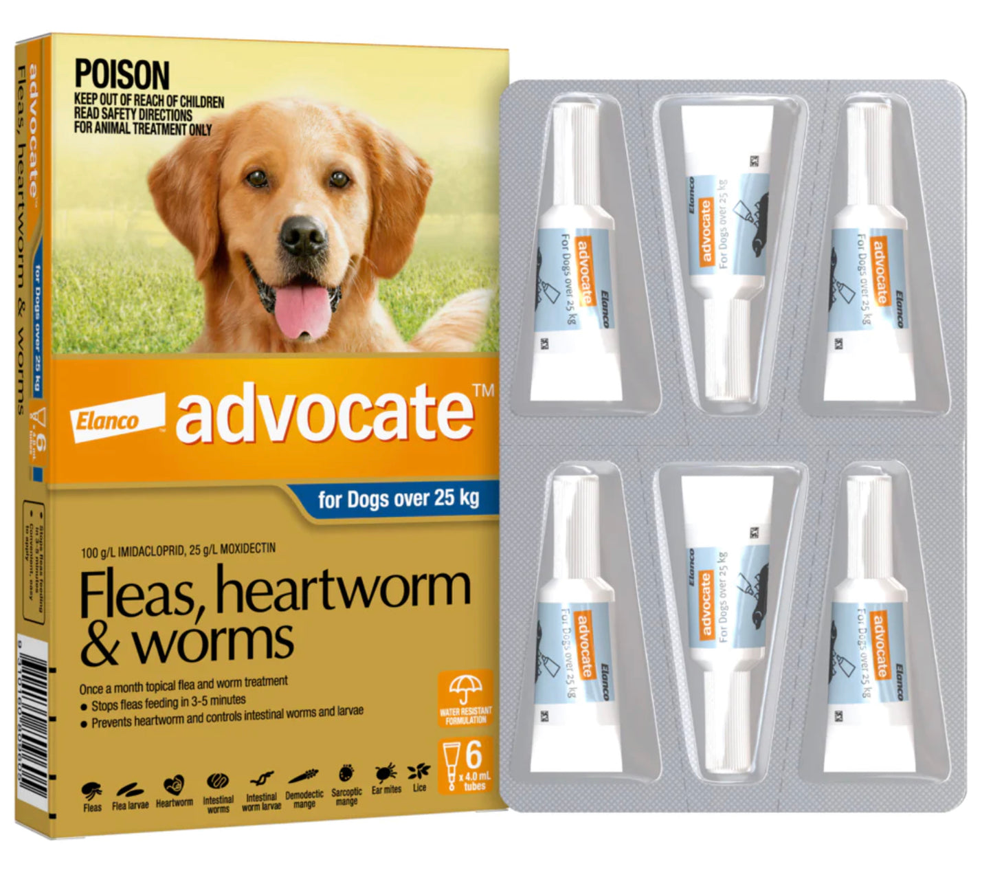 Advocate for Dogs -  25kg+ (6)